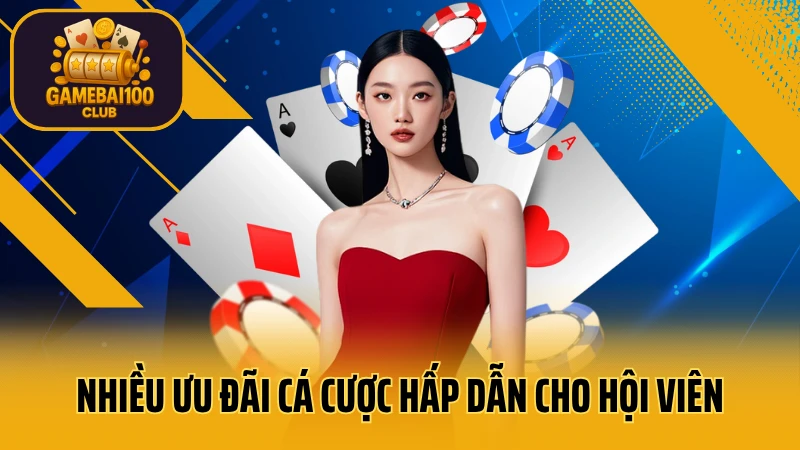 Thế giới game bài nhatvip đang chờ bạn 5 Nhiều ưu đãi cá cược hấp dẫn cho hội viên tại nhatvip