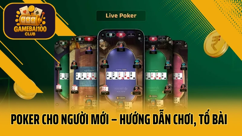 Poker cho người mới – hướng dẫn chơi, tố bài và mẹo giành lợi thế